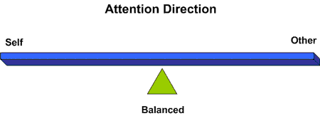 attention direction scale